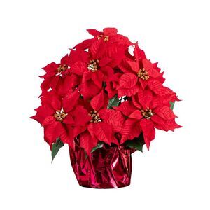 Nearly Natural -  19-in Artificial Lush Poinsettia Ar Red